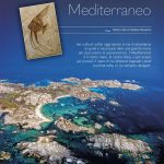 il futuro del mediterraneo nautica febbraio 2019